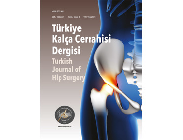  TÜRKİYE KALÇA CERRAHİSİ DERGİSİ'nin de mizanpaj/tasarımı firmamız tarafından yayımcı kuruluş olarak yayınlanmakta....