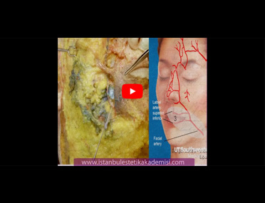 Literatur M.I.C.E.için Hazırlamış olduğumuz Video Tasarımımız.